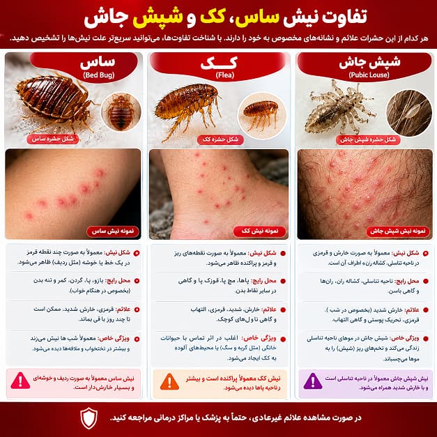 تشخیص نیش ساس,کک,شپش
